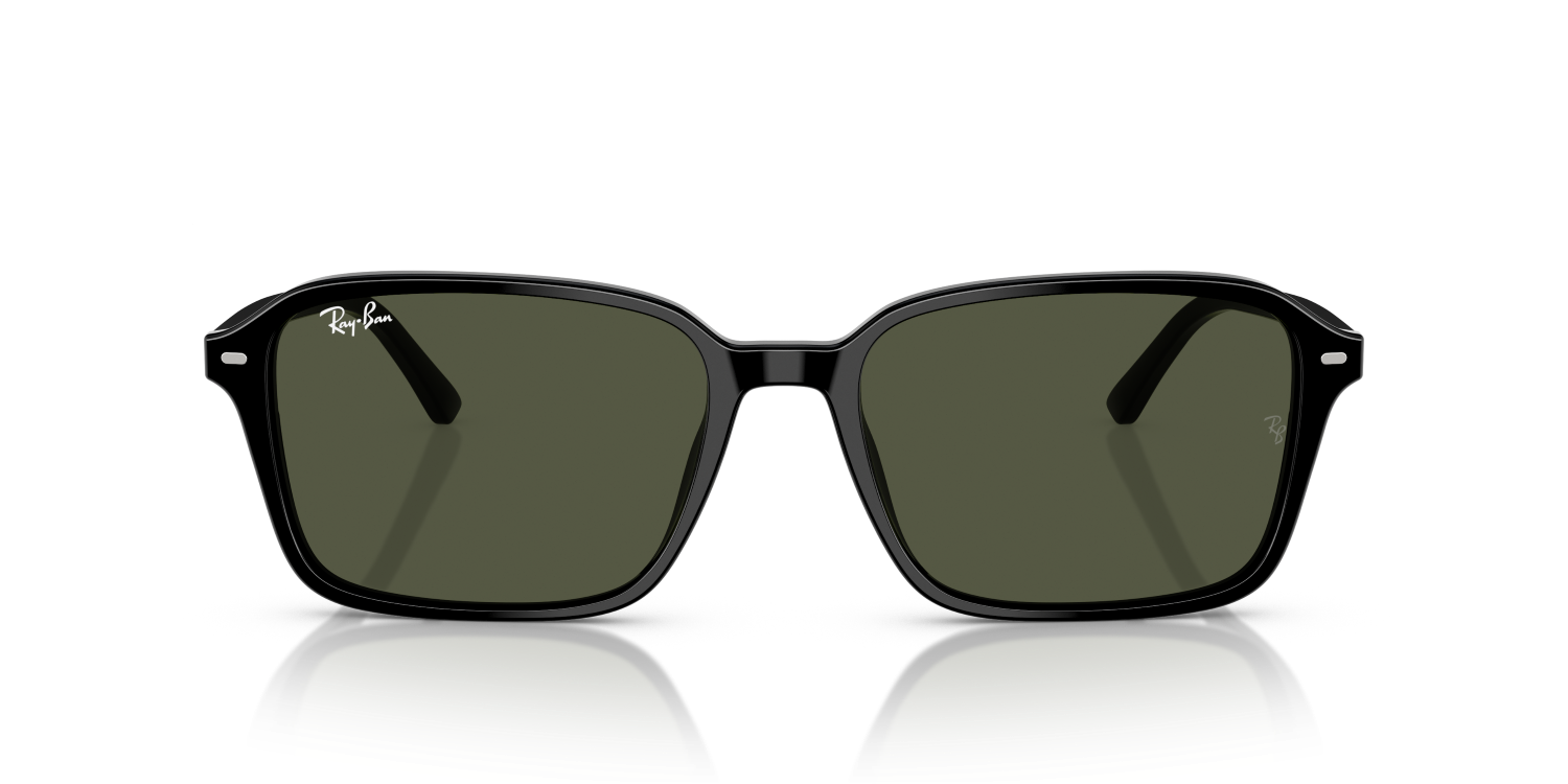 Ray-Ban RAIMOND RB2231 - Black / Black