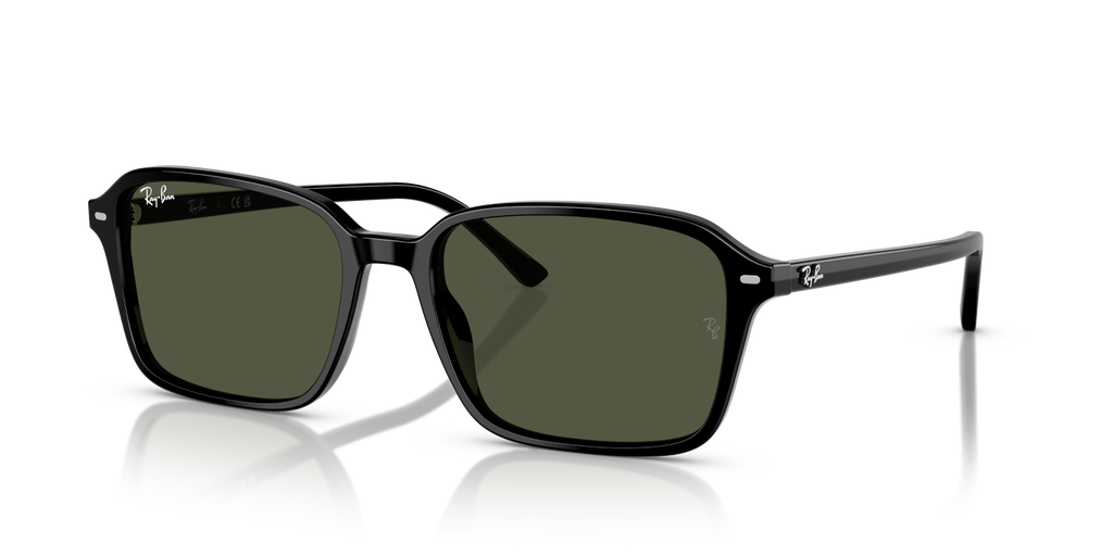Ray-Ban RAIMOND RB2231 - Black / Black