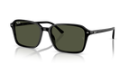 Ray-Ban RAIMOND RB2231 - Black / Black