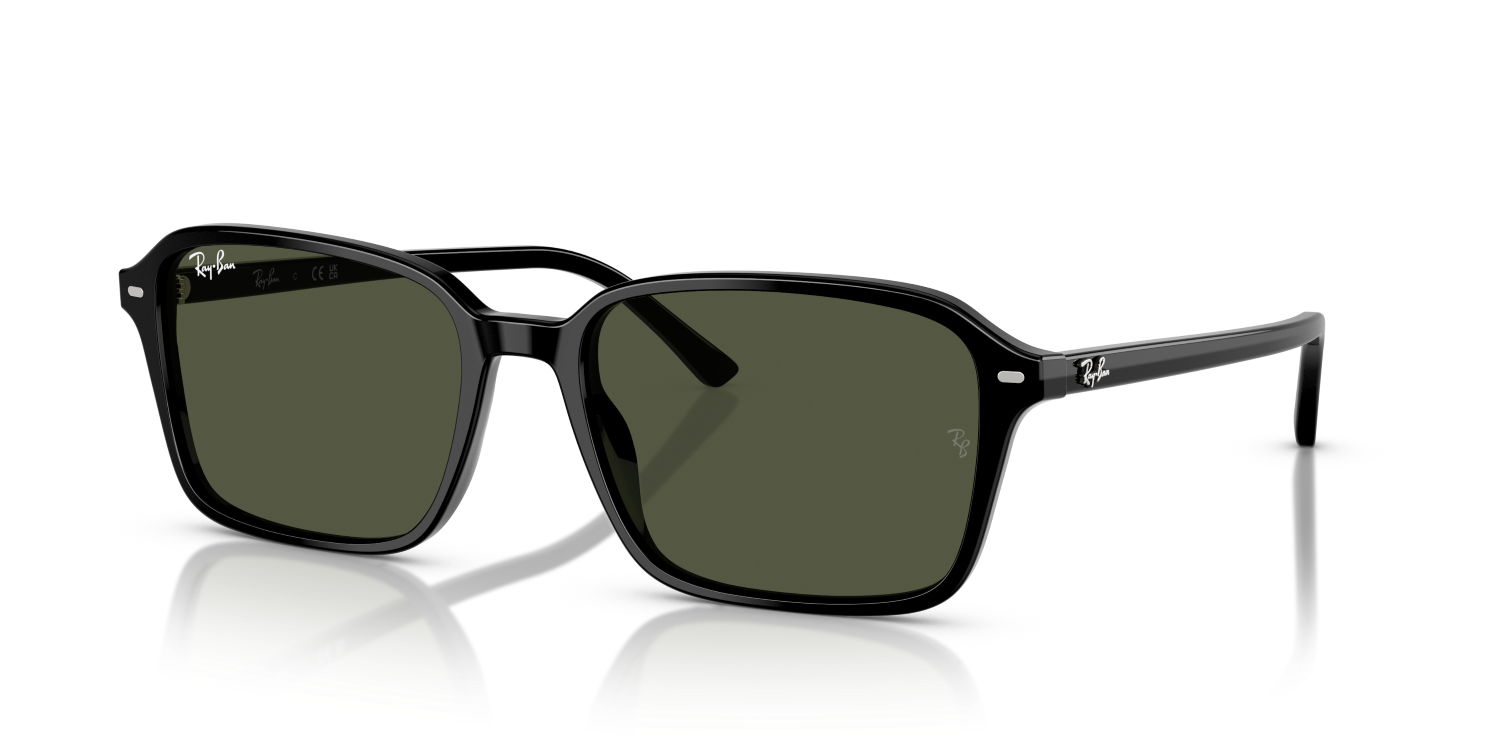 Ray-Ban RAIMOND RB2231 - Black / Black