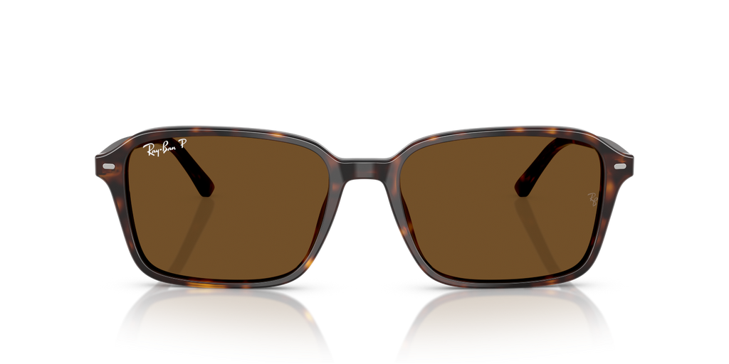 Ray-Ban RAIMOND RB2231 - Havana / Tortoise