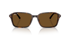Ray-Ban RAIMOND RB2231 - Havana / Tortoise