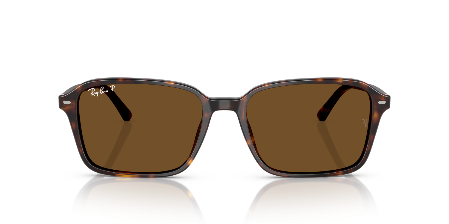 Ray-Ban RAIMOND RB2231 - Havana / Tortoise