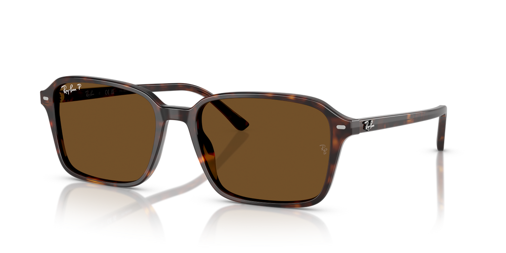 Ray-Ban RAIMOND RB2231 - Havana / Tortoise