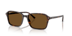 Ray-Ban RAIMOND RB2231 - Havana / Tortoise
