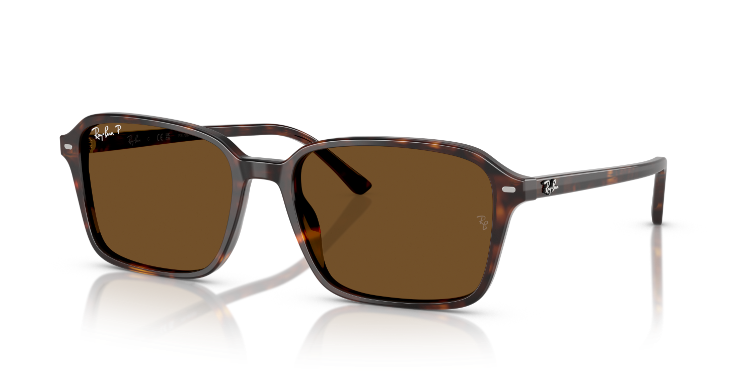 Ray-Ban RAIMOND RB2231 - Havana / Tortoise