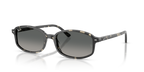 Ray-Ban RB2232 - Grey Havana / Tortoise