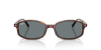 Ray-Ban RB2232 - Striped Havana / Brown