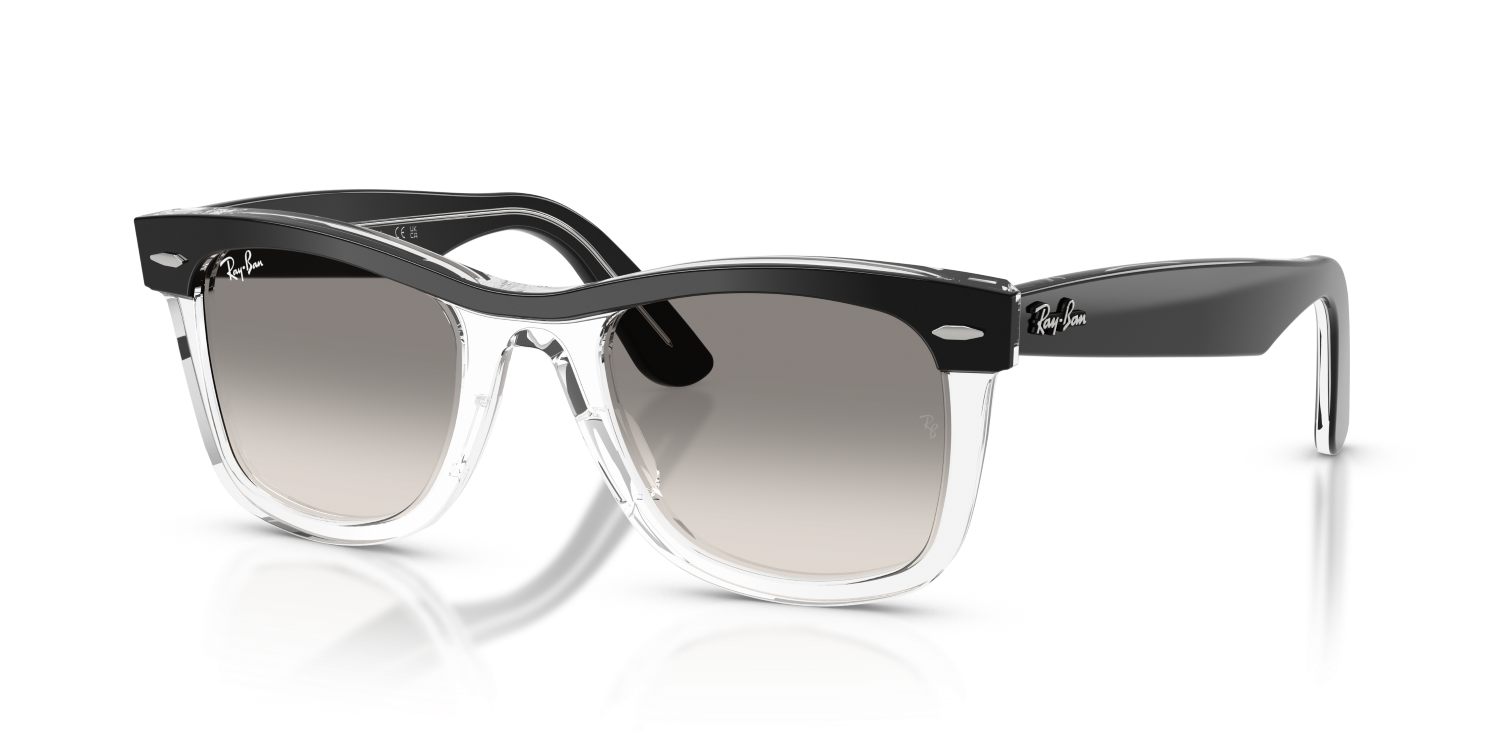 Ray-Ban WAYFARER RB2240 - Black On Transparent / Black