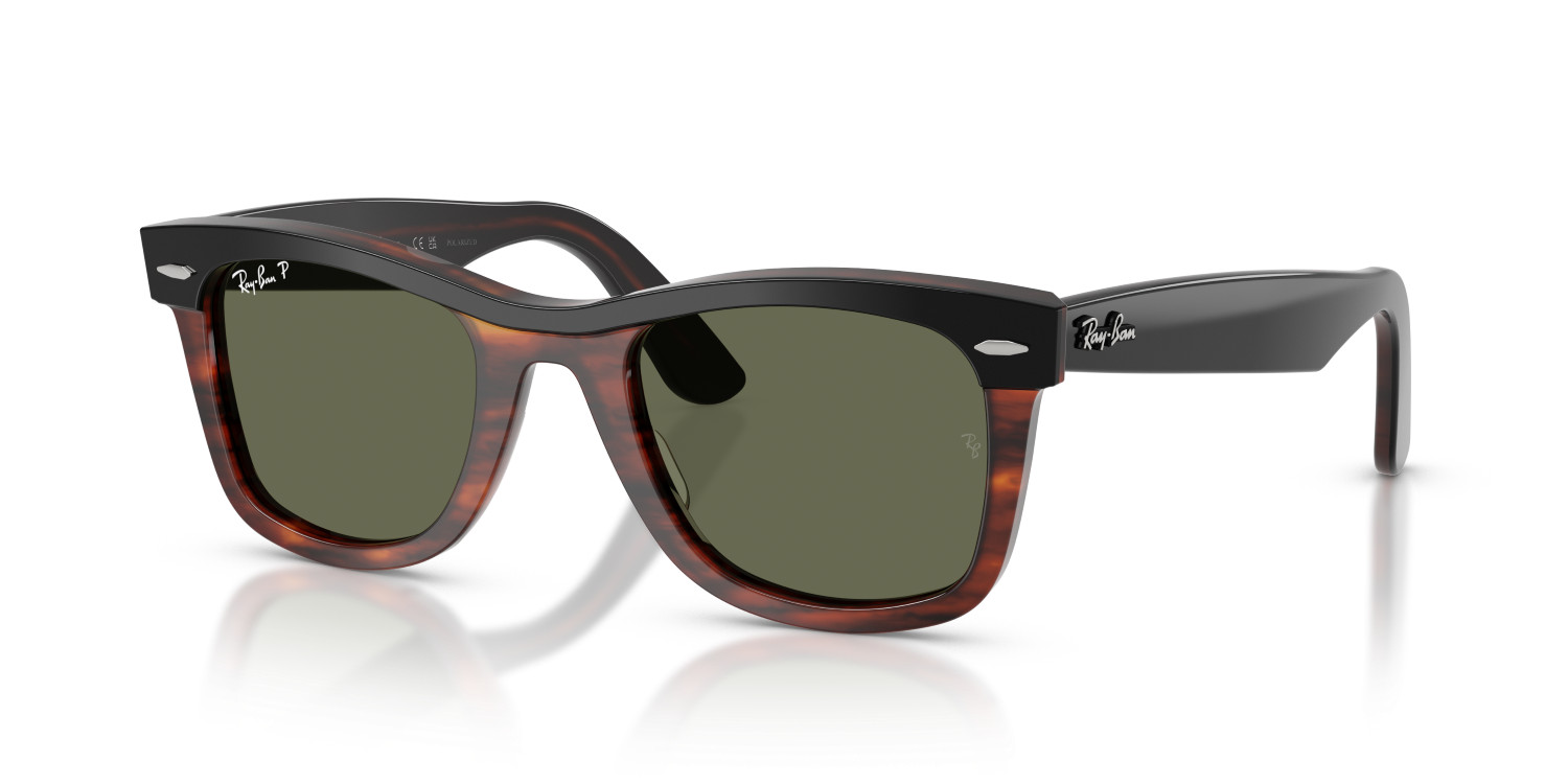 Ray-Ban WAYFARER RB2240 - Black On Havana / Black