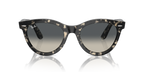 Ray-Ban WAYFARER WAY RB2241 - Grey Havana / Tortoise