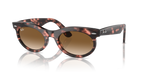 Ray-Ban WAYFARER OVAL RB2242 - Pink Havana / Tortoise