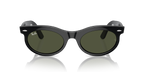 Ray-Ban WAYFARER OVAL RB2242 - Black / Black
