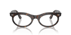 Ray-Ban WAYFARER OVAL RB2242 - Havana / Tortoise