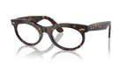 Ray-Ban WAYFARER OVAL RB2242 - Havana / Tortoise