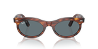 Ray-Ban WAYFARER OVAL RB2242 - Striped Havana / Brown