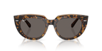 Ray-Ban DOREEN RB2286 - Havana On Transparent Brown / Gold