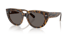 Ray-Ban DOREEN RB2286 - Havana On Transparent Brown / Gold