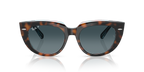 Ray-Ban DOREEN RB2286 - Dark Havana On Transparent Multicolour / Tortoise