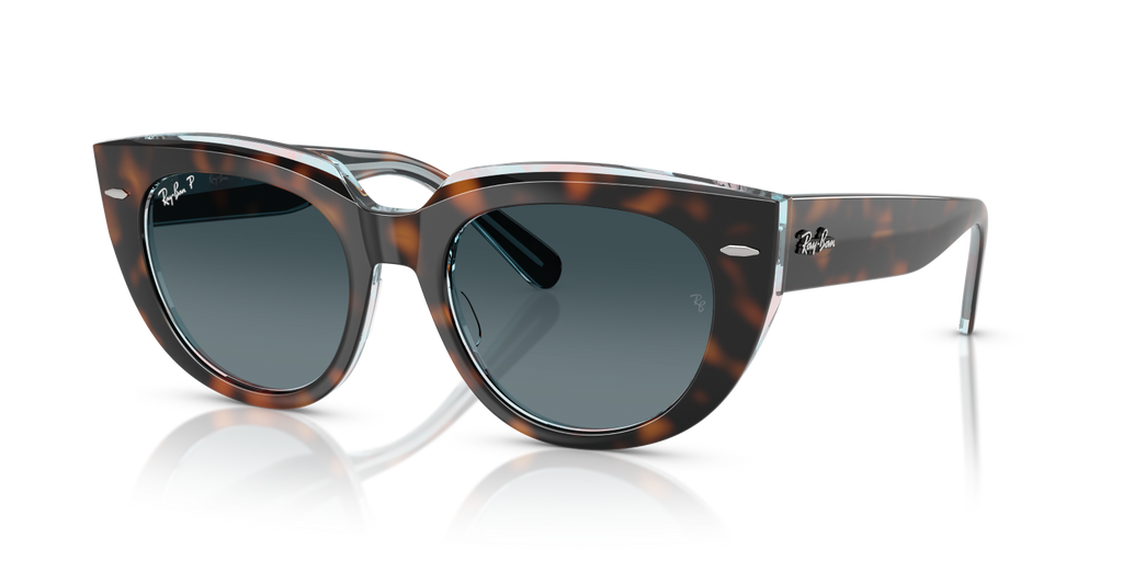 Ray-Ban DOREEN RB2286 - Dark Havana On Transparent Multicolour / Tortoise