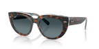 Ray-Ban DOREEN RB2286 - Dark Havana On Transparent Multicolour / Tortoise