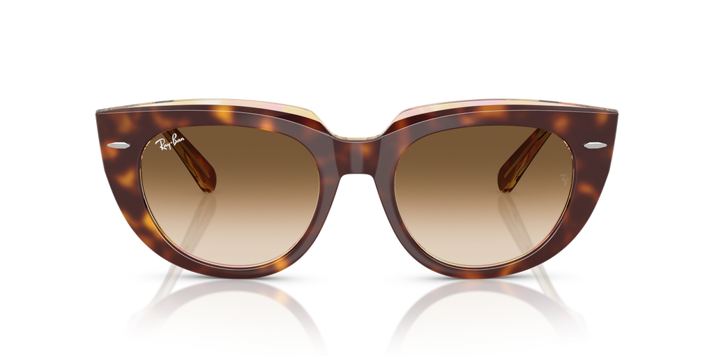 Ray-Ban DOREEN RB2286 - Light Havana On Transparent Multicolour / Tortoise