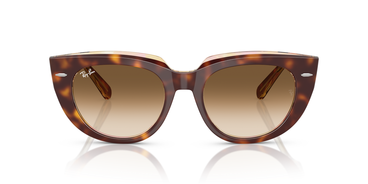 Ray-Ban DOREEN RB2286 - Light Havana On Transparent Multicolour / Tortoise