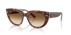 Ray-Ban DOREEN RB2286 - Light Havana On Transparent Multicolour / Tortoise