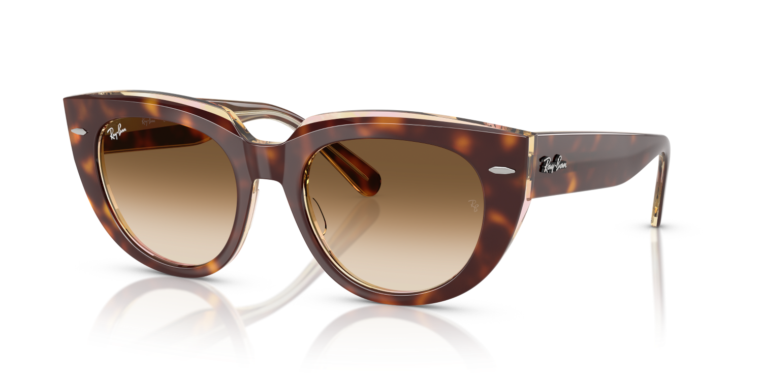 Ray-Ban DOREEN RB2286 - Light Havana On Transparent Multicolour / Tortoise
