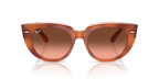 Ray-Ban DOREEN RB2286 - Red Havana On Transparent Multicolour / Tortoise