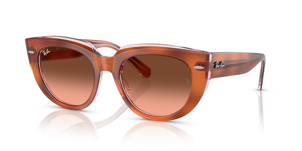 Ray-Ban DOREEN RB2286 - Red Havana On Transparent Multicolour / Tortoise