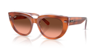 Ray-Ban DOREEN RB2286 - Red Havana On Transparent Multicolour / Tortoise