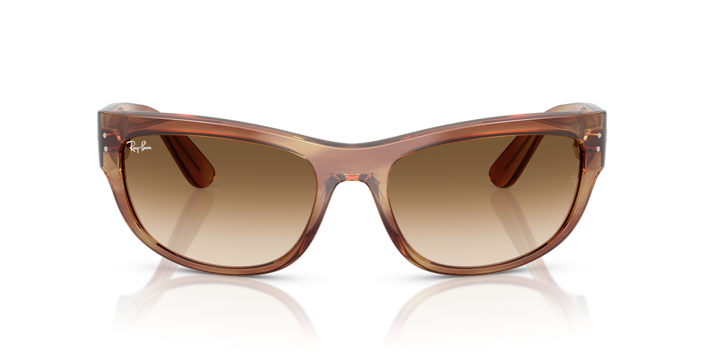 Ray-Ban MEGA BALORAMA RB2289 - Striped Brown / Tortoise