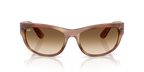 Ray-Ban MEGA BALORAMA RB2289 - Striped Brown / Tortoise