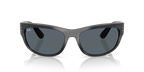 Ray-Ban MEGA BALORAMA RB2289 - Striped Gray / Grey