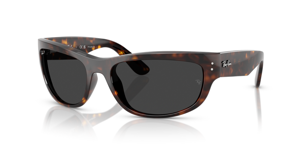 Ray-Ban MEGA BALORAMA RB2289 - Havana / Tortoise
