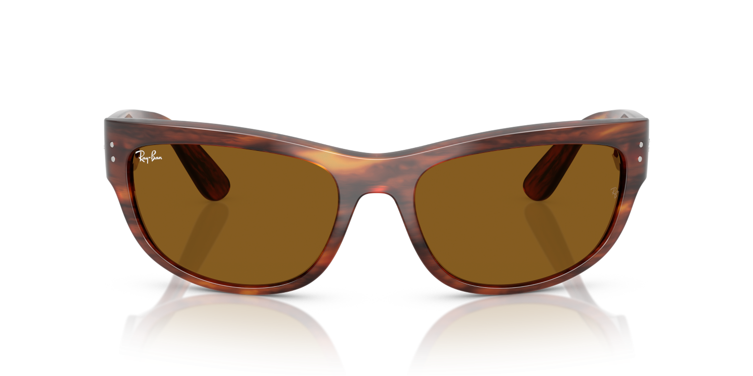 Ray-Ban MEGA BALORAMA RB2289 - Striped Havana / Brown