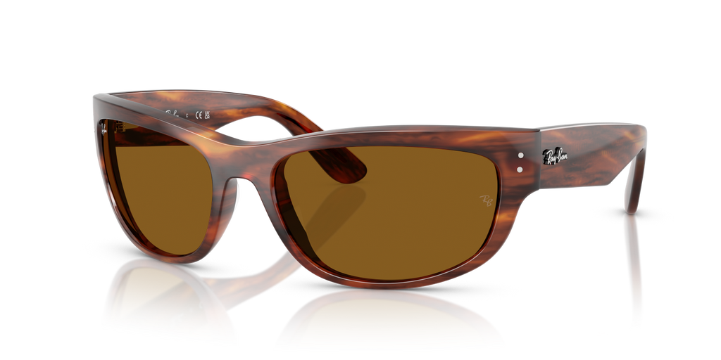 Ray-Ban MEGA BALORAMA RB2289 - Striped Havana / Brown