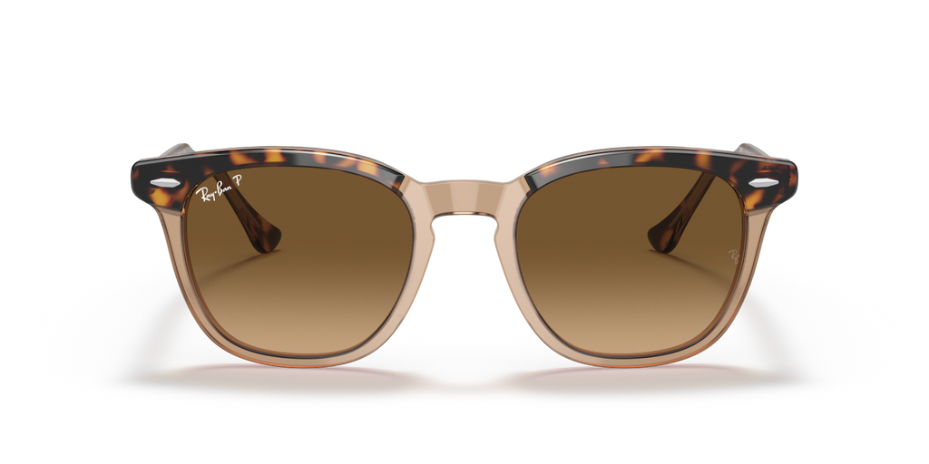 Ray-Ban HAWKEYE RB2298 - Havana On Transparent Brown / Gold