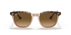 Ray-Ban HAWKEYE RB2298 - Havana On Transparent Brown / Gold