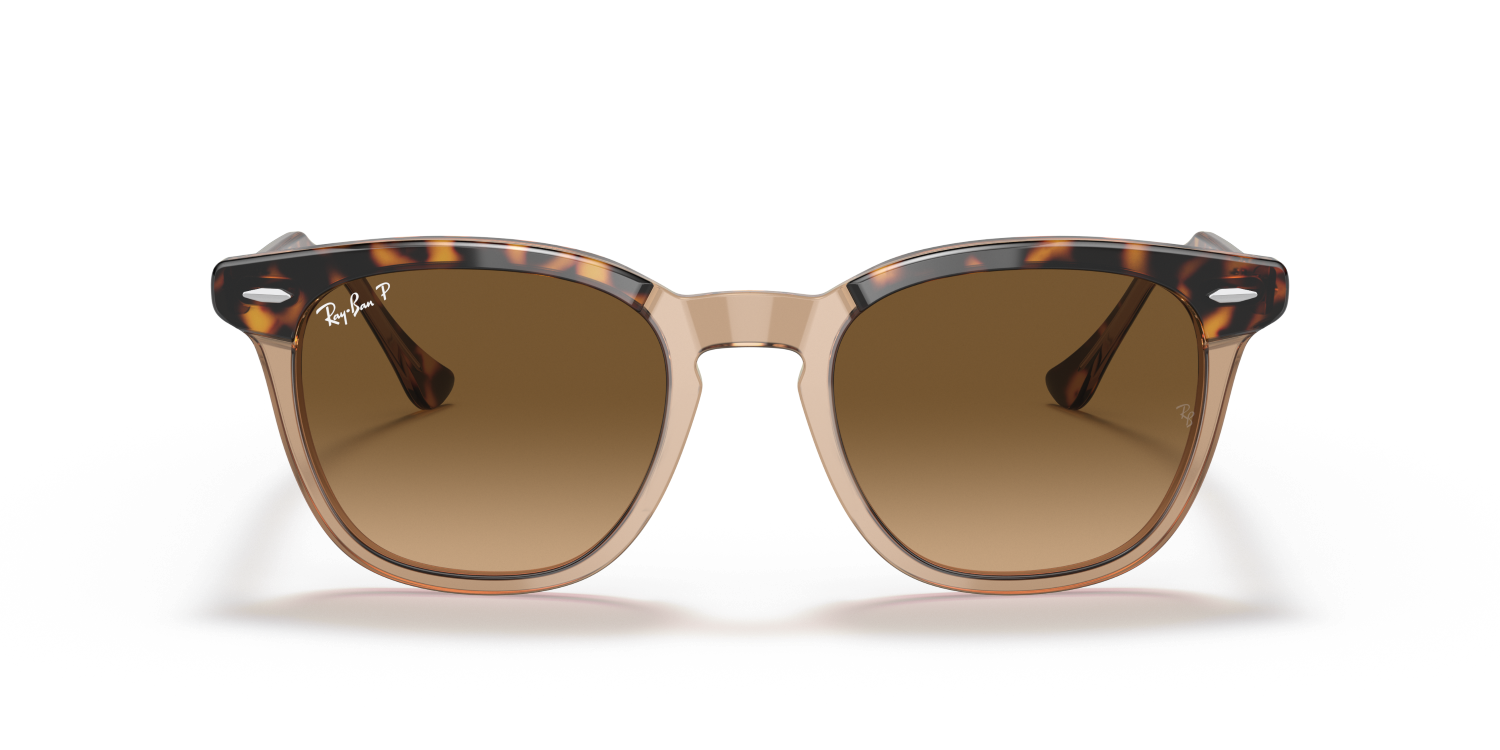 Ray-Ban HAWKEYE RB2298 - Havana On Transparent Brown / Gold