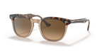 Ray-Ban HAWKEYE RB2298 - Havana On Transparent Brown / Gold