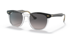 Ray-Ban HAWKEYE RB2298 - Black On Transparent / Black