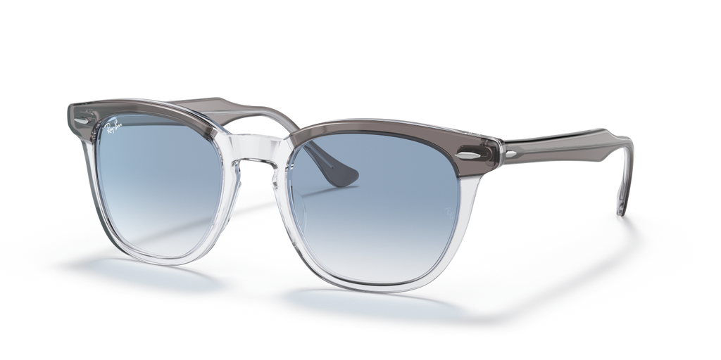 Ray-Ban HAWKEYE RB2298 - Grey On Transparent / Grey