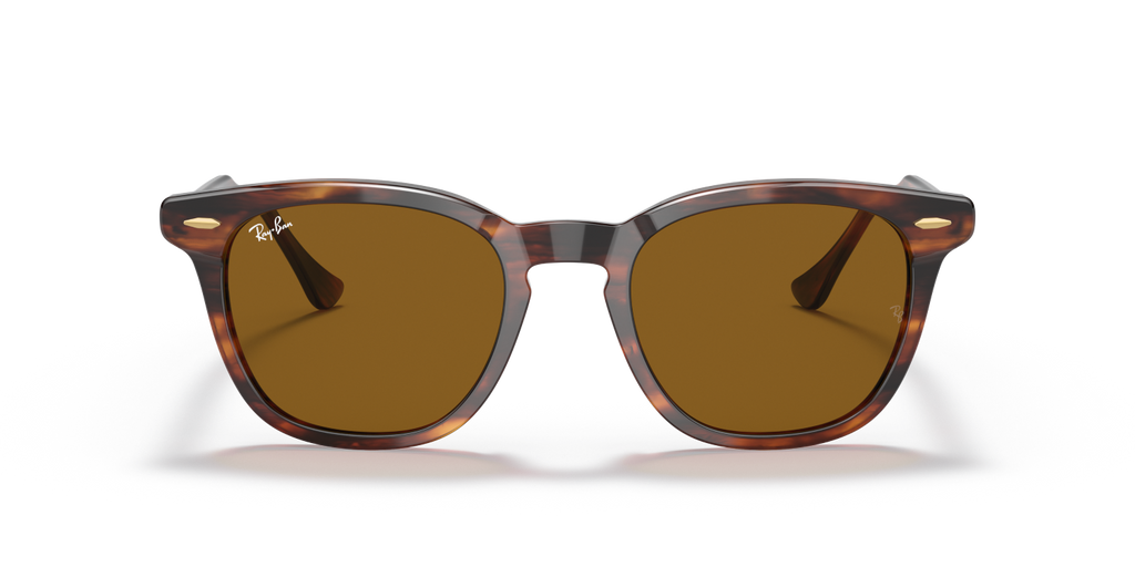Ray-Ban HAWKEYE RB2298 - Striped Havana / Brown
