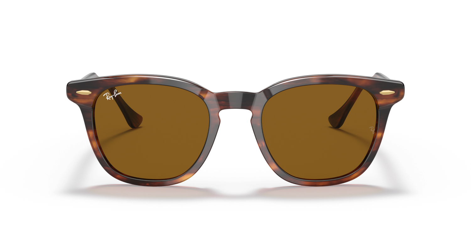 Ray-Ban HAWKEYE RB2298 - Striped Havana / Brown