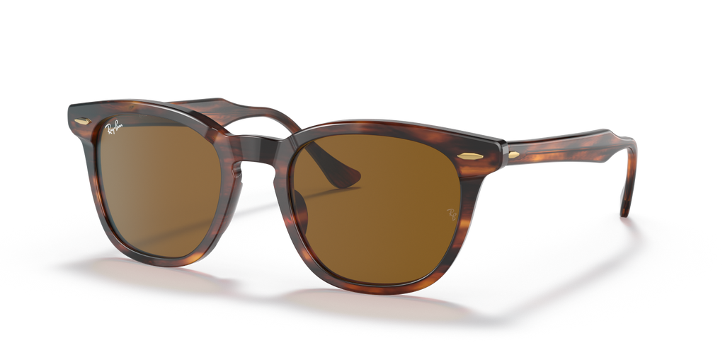Ray-Ban HAWKEYE RB2298 - Striped Havana / Brown