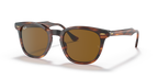 Ray-Ban HAWKEYE RB2298 - Striped Havana / Brown
