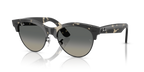 Ray-Ban CLUBMASTER WAY RB2341 - Grey Havana On Black / Tortoise