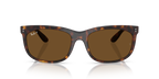 Ray-Ban BALORETTE RB2389 - Havana / Tortoise